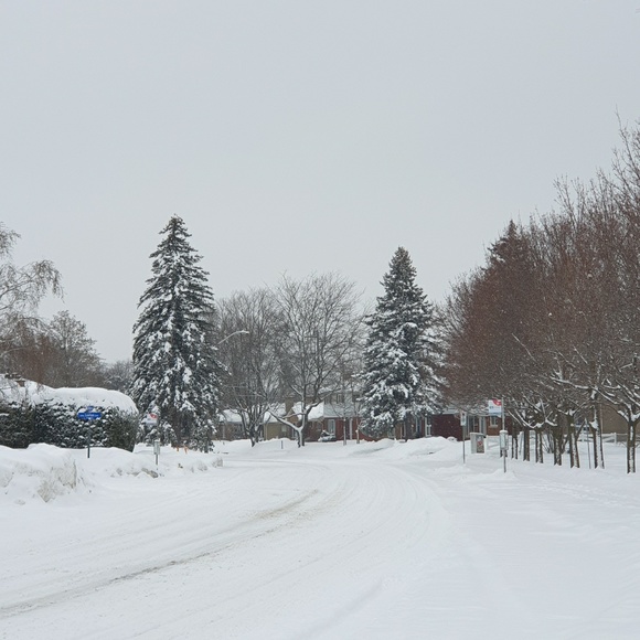 Meet your Posher, Audrey - Picture 1 of 1